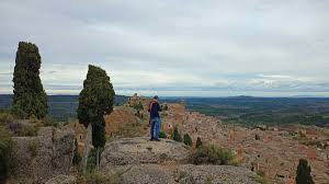 La floración en el Alcañiz ya ha empezado